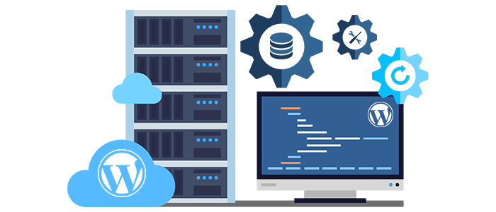 انتخاب هاست